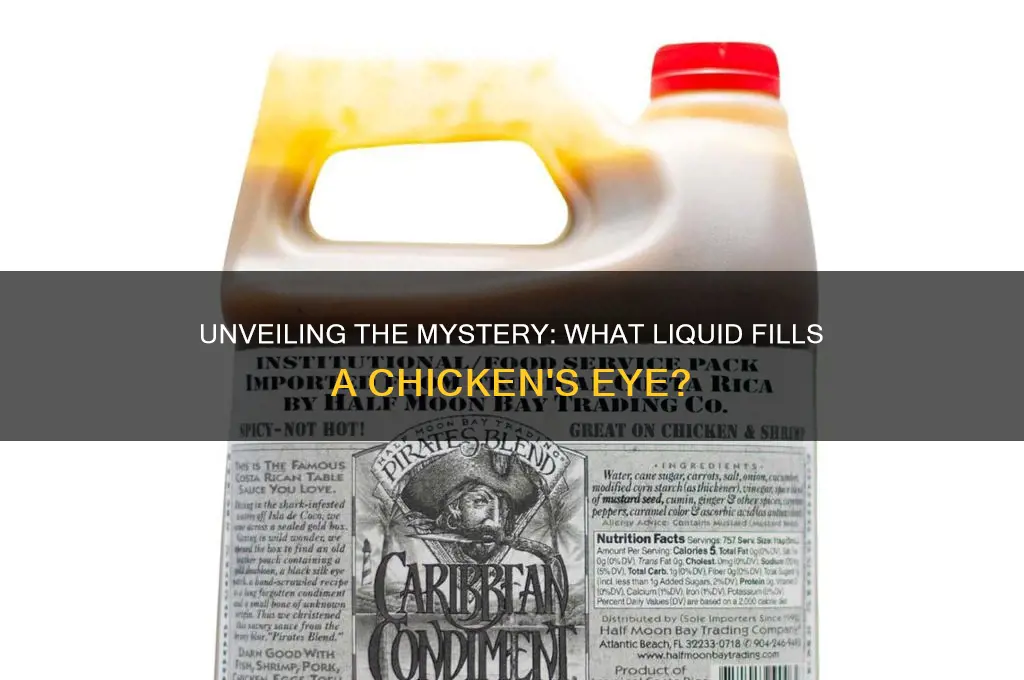 what liquid is inside a chicken eye