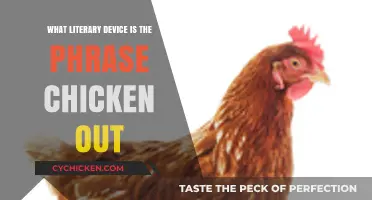 Chicken Out": Unraveling the Idiom's Literary Device and Meanin