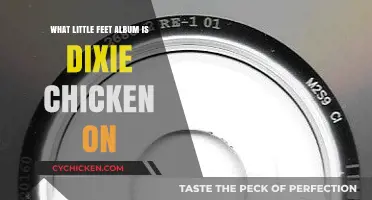 Dixie Chicken Album: Uncovering Little Feat's Classic Rock Masterpiece