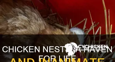 what living and nonliving things are found in chicken nests