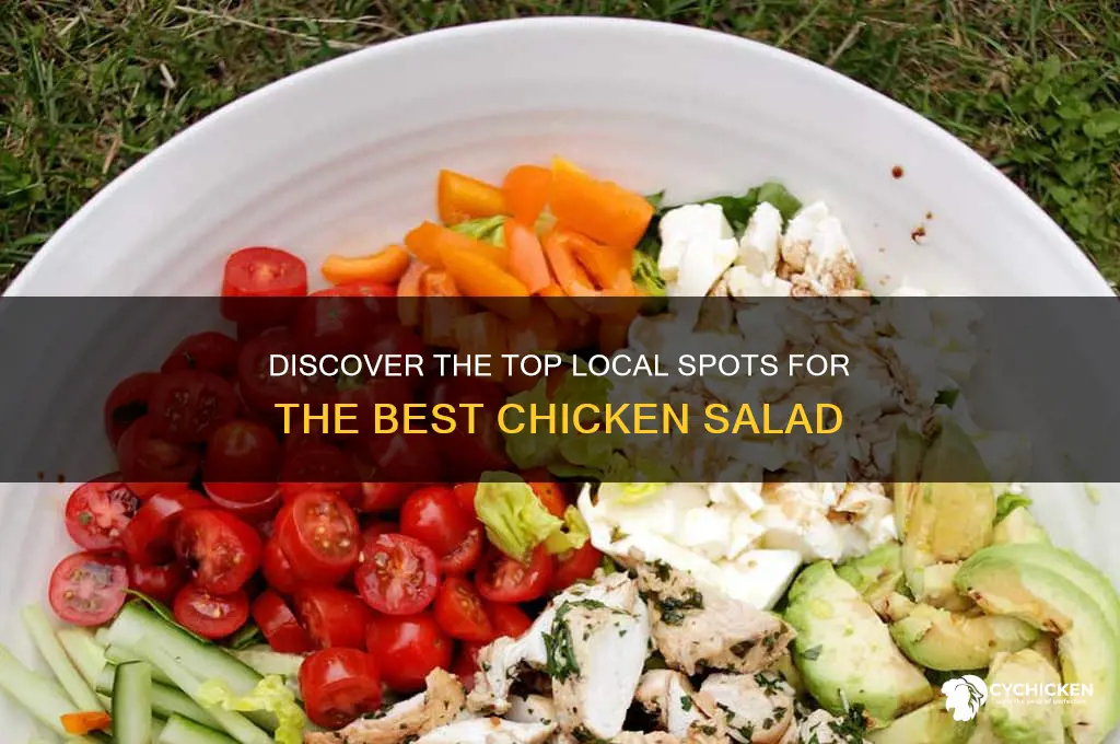what local stores have the best chicken salsd