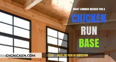 Choosing the Right Lumber for Your Chicken Run Base