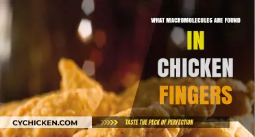 Macromolecules in Chicken Fingers: Proteins, Fats, and Carbs Explained
