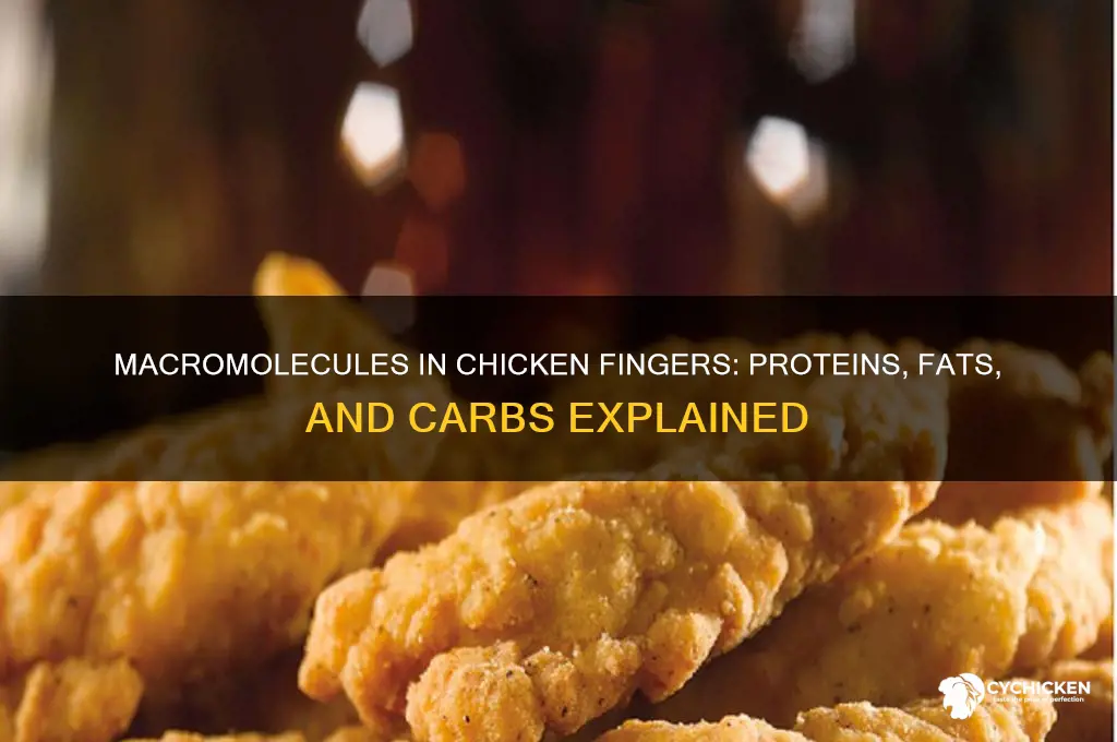 what macromolecules are found in chicken fingers