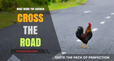 Why Did the Chicken Cross the Road? Unraveling the Mystery
