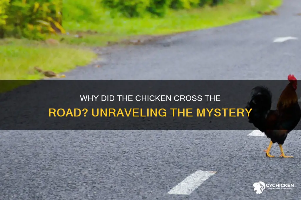 what made the chicken cross the road