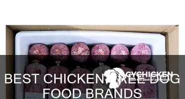 what major dog food brands have no chicken bi-products