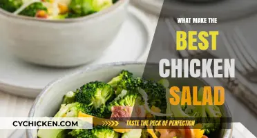 Delicious Secrets: Crafting the Perfect Chicken Salad Delight