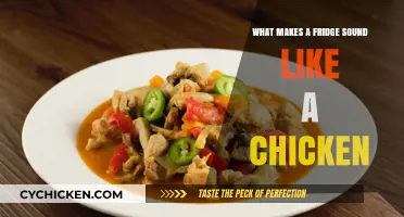 Why Your Fridge Clucks: Unraveling the Chicken-Like Sounds Mystery