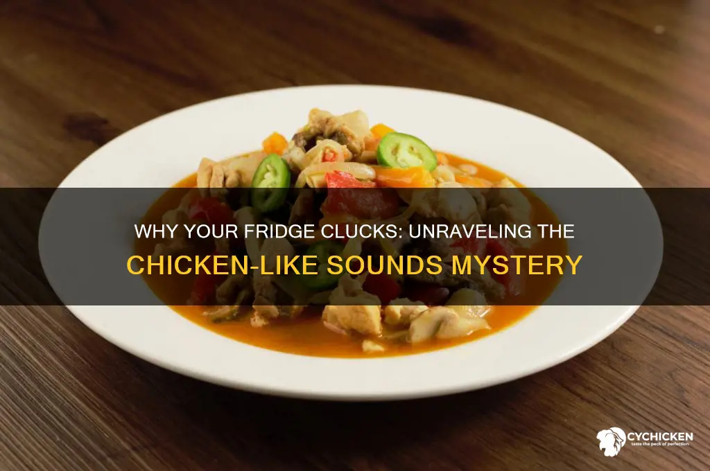 what makes a fridge sound like a chicken