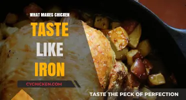 Why Chicken Sometimes Tastes Like Iron: Causes and Solutions