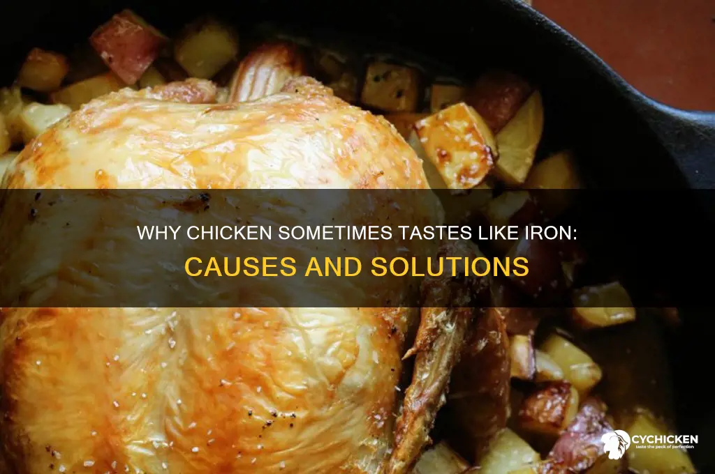what makes chicken taste like iron