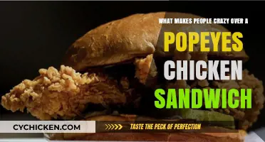 Why the Popeyes Chicken Sandwich Sparks Mass Obsession and Frenzy