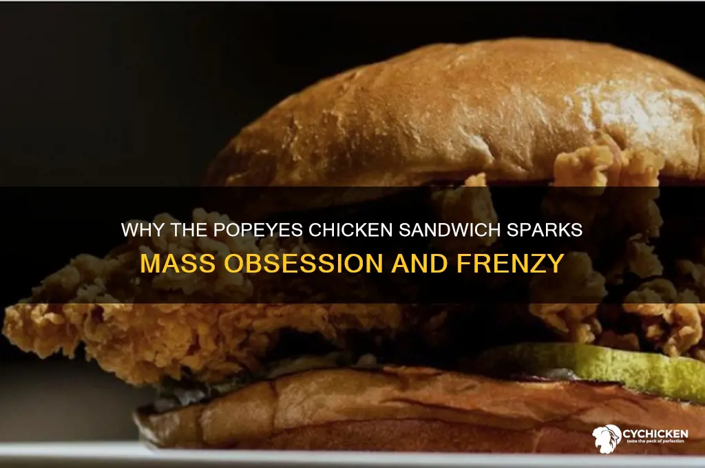 what makes people crazy over a popeyes chicken sandwich