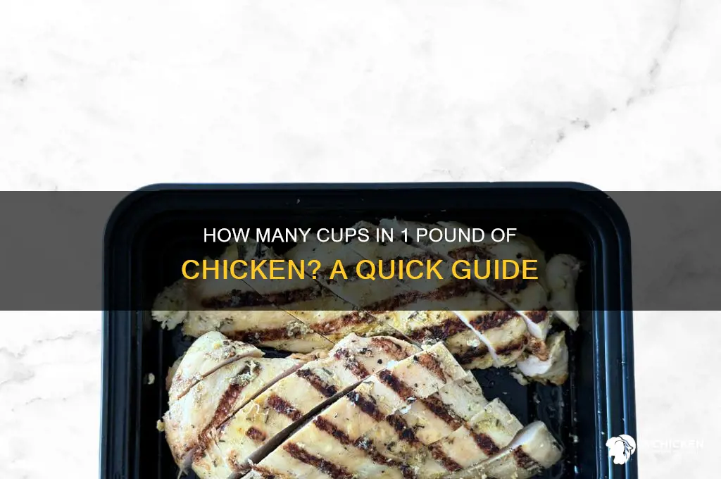 what many cups is 1 lb chicken