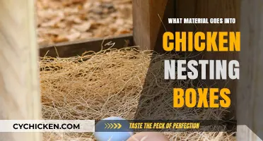 Best Materials for Chicken Nesting Boxes: Comfort and Durability Guide