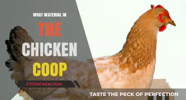 Essential Materials for a Happy and Healthy Chicken Coop