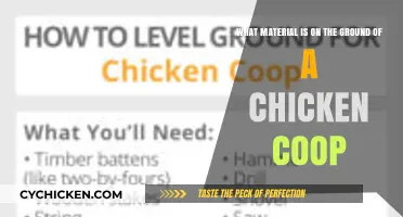 Exploring the Ideal Ground Coverings for a Chicken Coop