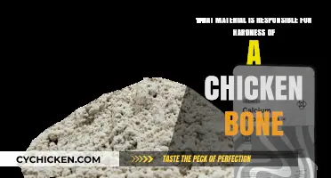 Chicken Bone Hardness: The Mineral Mystery