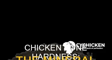 what material is responsible for hardness of a chicken bone