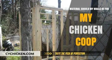 Choosing the Perfect Material for Your Chicken Coop Walls