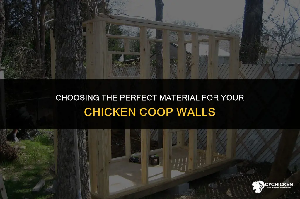 what material should my walls be for my chicken coop