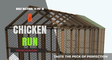 Best Materials for a Safe and Comfortable Chicken Run Setup