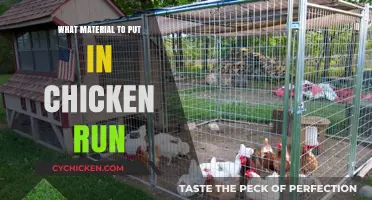 Best Materials for a Safe and Comfortable Chicken Run Setup