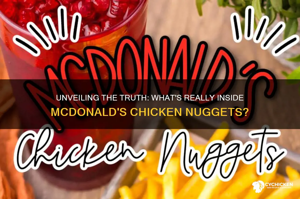 what mcdonalds chicken nuggets really contain