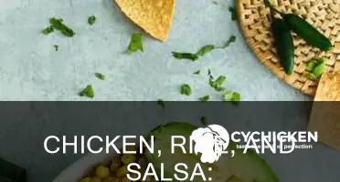 what meal is called rice chicken salsa and sourcream