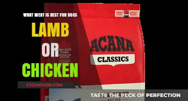 Lamb vs. Chicken: Which Meat is Better for Your Dog?
