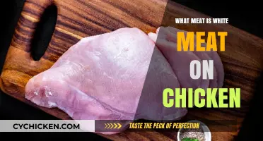 Understanding White Meat: What Parts of Chicken Qualify as White Meat?