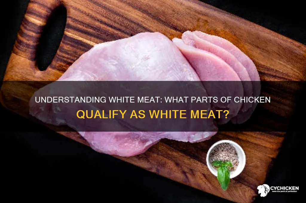 what meat is white meat on chicken