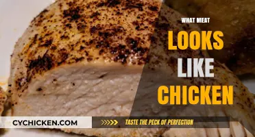 Meat That Resembles Chicken: Surprising Look-Alike Proteins Explored