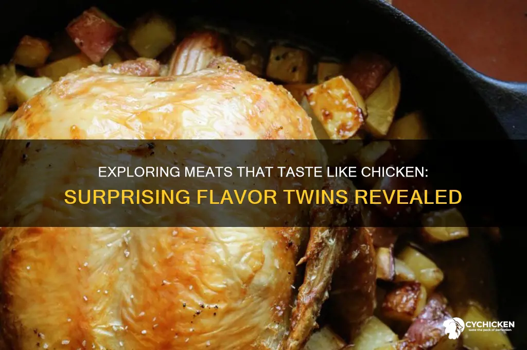 what meat taste like chicken