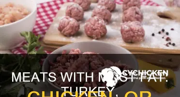 what meats have the most fat turkey chicken beef