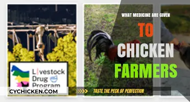 Essential Medications for Chicken Farmers: A Comprehensive Guide