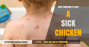Effective Medications and Remedies for Treating Sick Chickens at Home