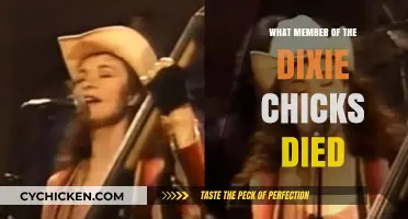 Which Dixie Chicks Member Passed Away: Unraveling the Tragic Truth