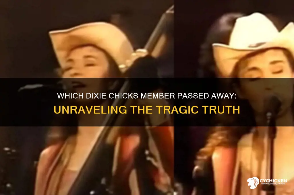 what member of the dixie chicks died
