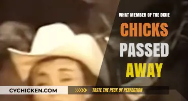 Remembering the Dixie Chicks Member Who Sadly Passed Away