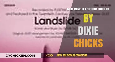 Finding the Film Featuring Landslide by Dixie Chicks