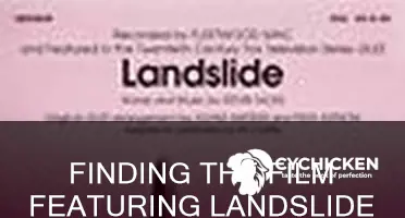 what movie has the song landslide by dixie chicks