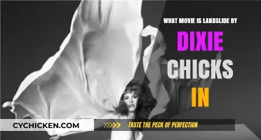 Landslide by Dixie Chicks: The Movie Connection Explained