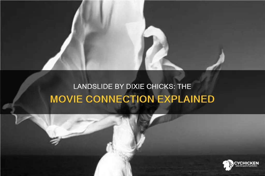 what movie is landslide by dixie chicks in