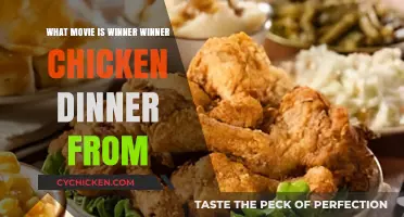 Winner Winner Chicken Dinner: The Movie Origin Explained