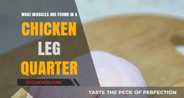 Explore the Muscles in a Chicken Leg Quarter