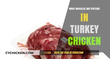 Oysters in Turkey Chicken: Unveiling the Hidden Muscles You Should Know