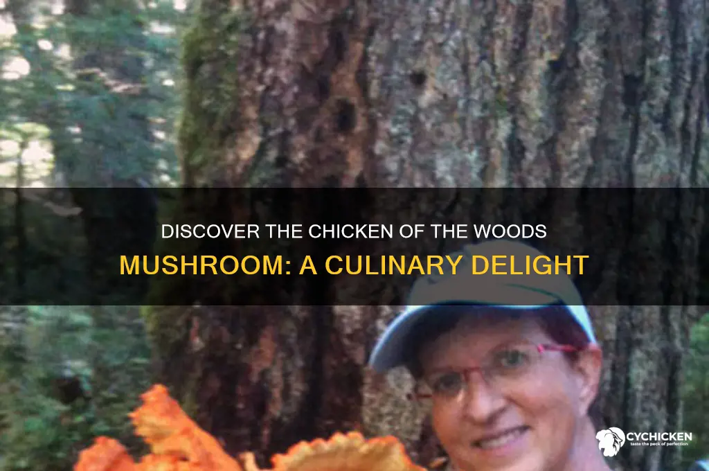 what mushroom is called chicken of the