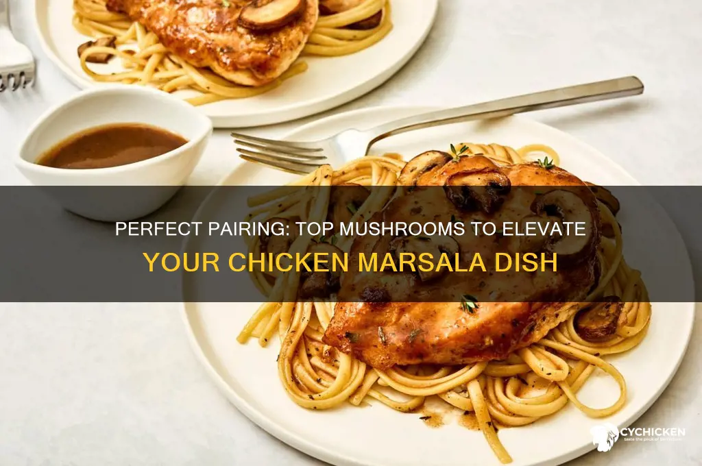what mushrooms are best for chicken marsala